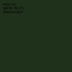 #20311B - Green Kelp Color Image