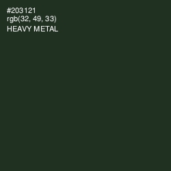 #203121 - Heavy Metal Color Image
