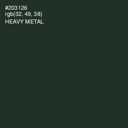 #203126 - Heavy Metal Color Image