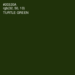 #20320A - Turtle Green Color Image