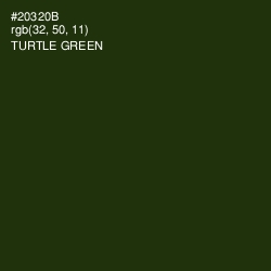 #20320B - Turtle Green Color Image