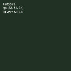 #203322 - Heavy Metal Color Image
