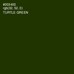 #203400 - Turtle Green Color Image