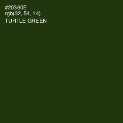#20360E - Turtle Green Color Image
