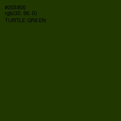 #203800 - Turtle Green Color Image