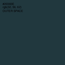 #20383E - Outer Space Color Image