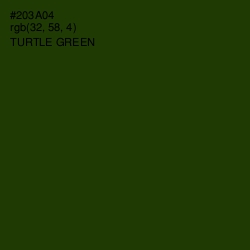 #203A04 - Turtle Green Color Image