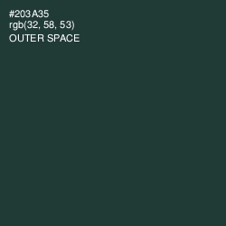 #203A35 - Outer Space Color Image