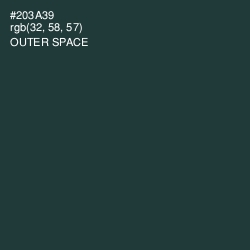 #203A39 - Outer Space Color Image