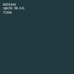 #203A40 - Tuna Color Image