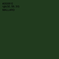 #203B1E - Mallard Color Image