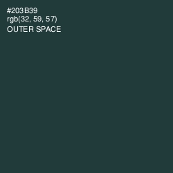 #203B39 - Outer Space Color Image