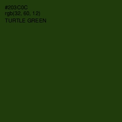 #203C0C - Turtle Green Color Image