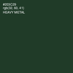 #203C29 - Heavy Metal Color Image