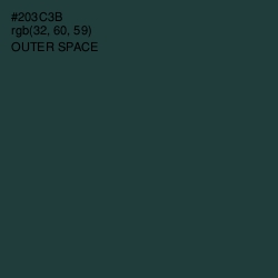 #203C3B - Outer Space Color Image