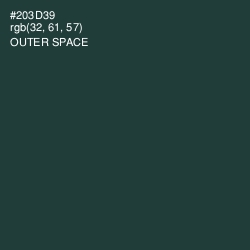 #203D39 - Outer Space Color Image