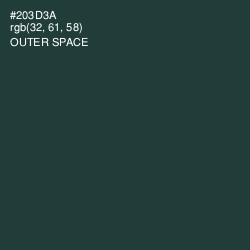 #203D3A - Outer Space Color Image