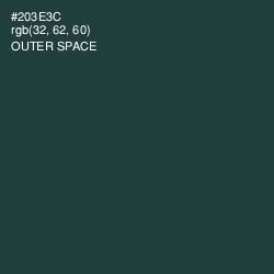 #203E3C - Outer Space Color Image