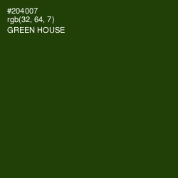 #204007 - Green House Color Image