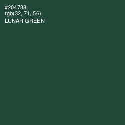 #204738 - Lunar Green Color Image