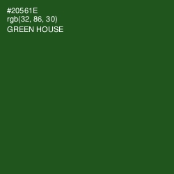 #20561E - Green House Color Image