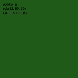 #205A19 - Green House Color Image