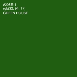 #205E11 - Green House Color Image