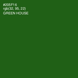 #205F16 - Green House Color Image