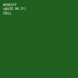 #20601F - Dell Color Image