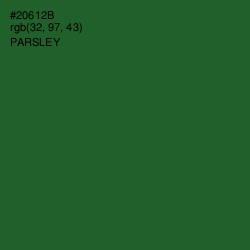 #20612B - Parsley Color Image