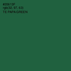 #20613F - Te Papa Green Color Image