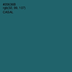 #20636B - Casal Color Image