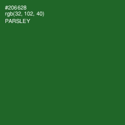 #206628 - Parsley Color Image