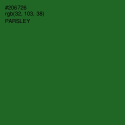 #206726 - Parsley Color Image