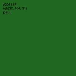 #20681F - Dell Color Image