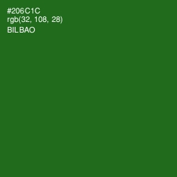 #206C1C - Bilbao Color Image