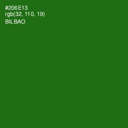 #206E13 - Bilbao Color Image