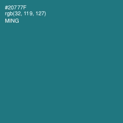 #20777F - Ming Color Image
