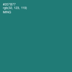 #207B77 - Ming Color Image