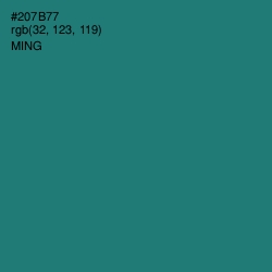 #207B77 - Ming Color Image