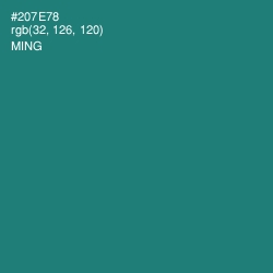 #207E78 - Ming Color Image