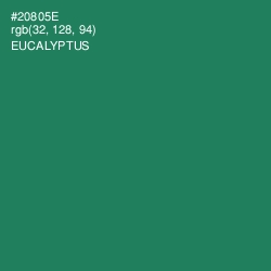 #20805E - Eucalyptus Color Image