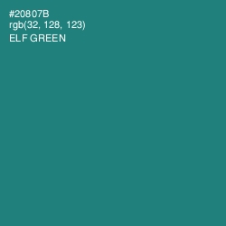 #20807B - Elf Green Color Image