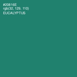 #20816E - Eucalyptus Color Image