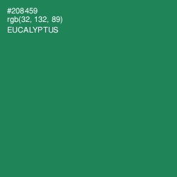 #208459 - Eucalyptus Color Image