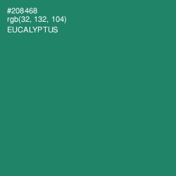 #208468 - Eucalyptus Color Image
