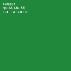 #20883A - Forest Green Color Image