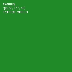 #208928 - Forest Green Color Image