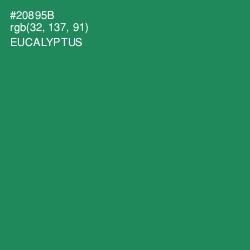 #20895B - Eucalyptus Color Image