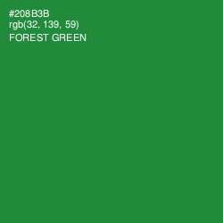 #208B3B - Forest Green Color Image